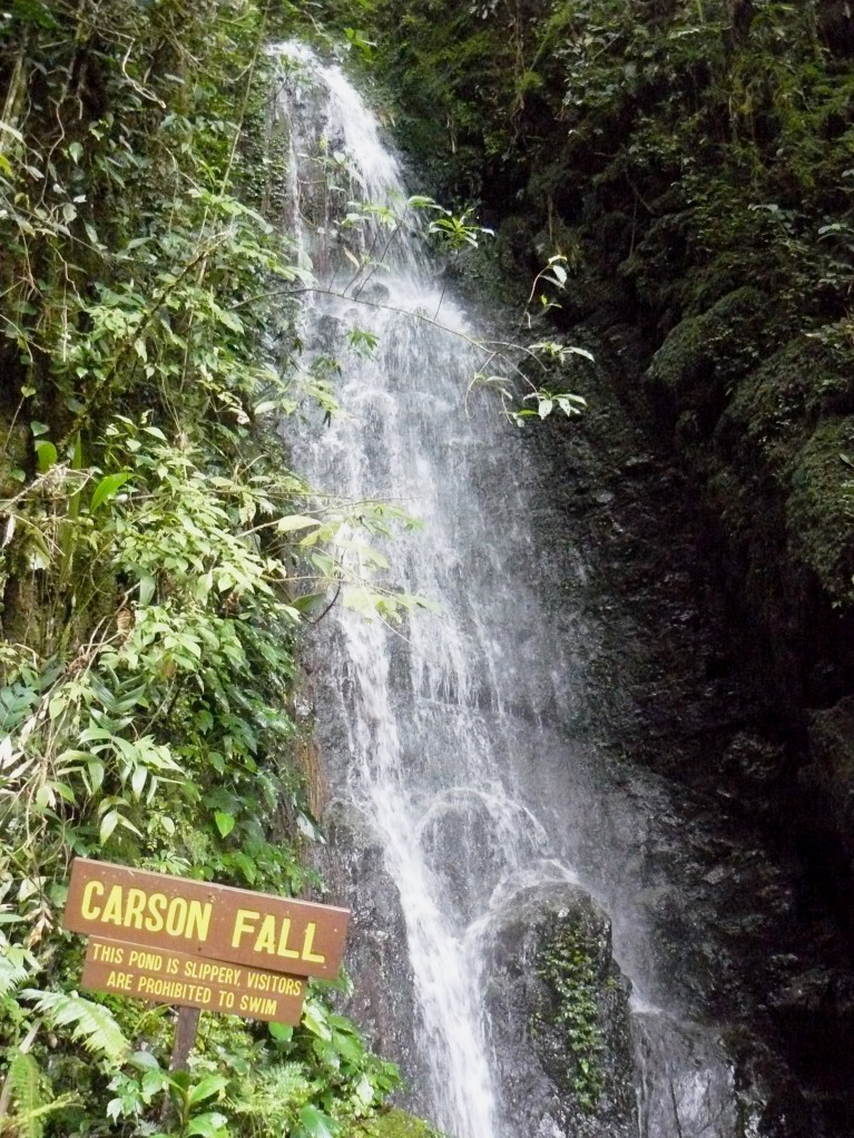 Mt Kinabalu (10)