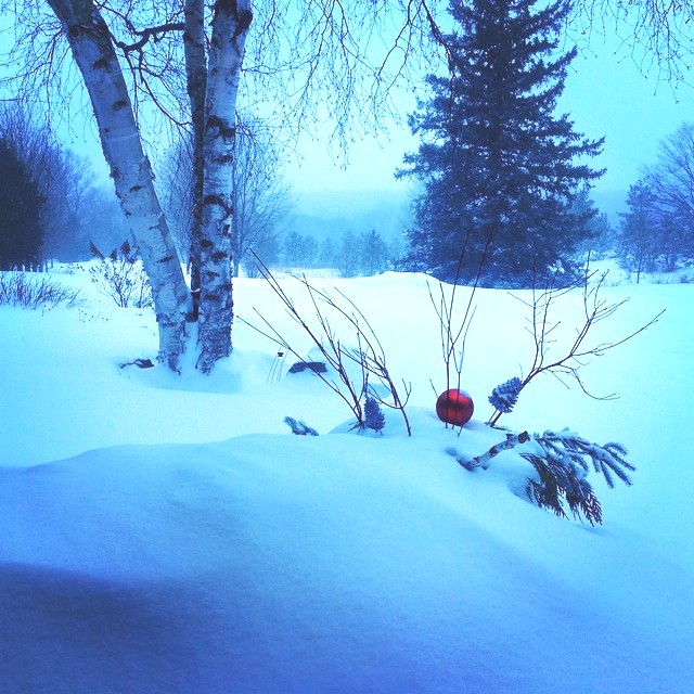 Picture 1-Winter