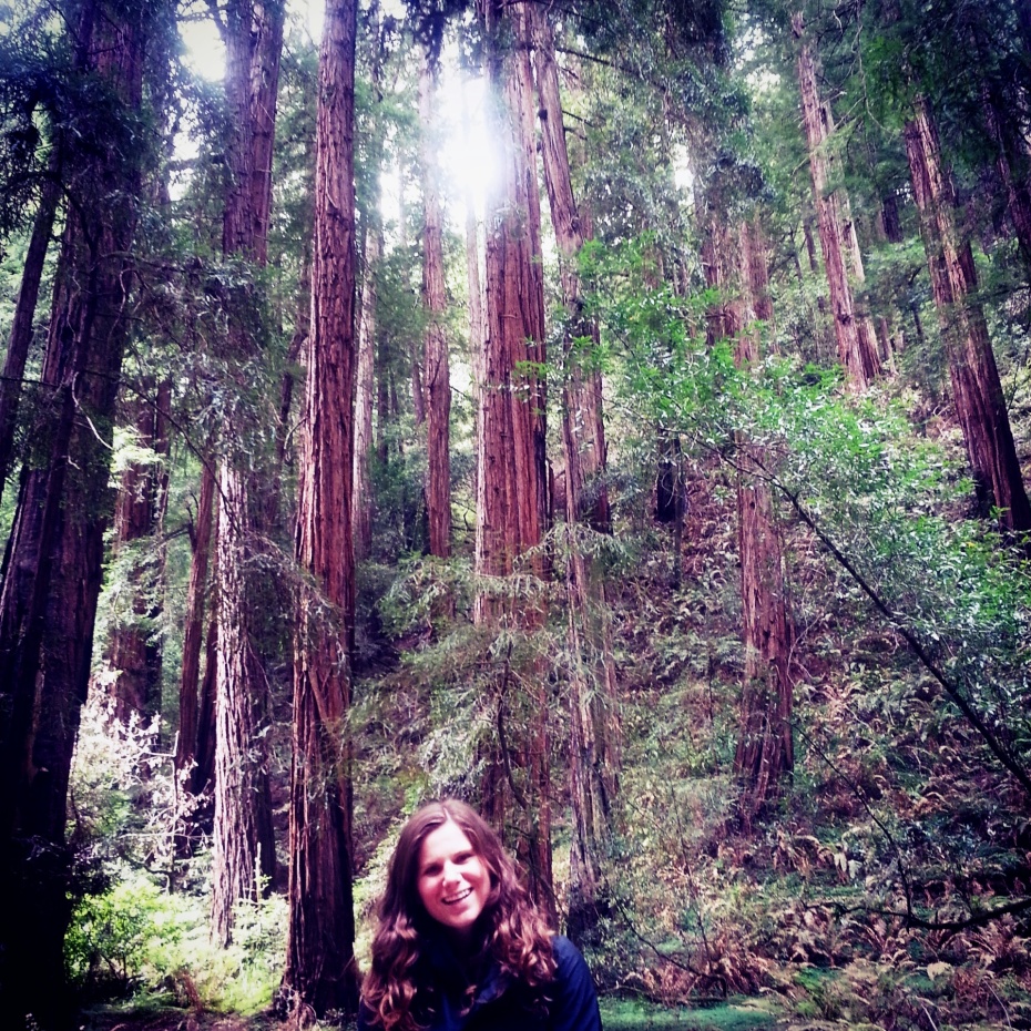 Picture 16-Muir Woods